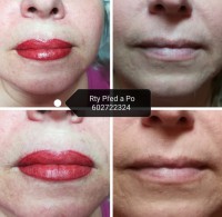 /album/fotogalerie/a120185055-343076426746218-5281375906897759209-n-jpg/